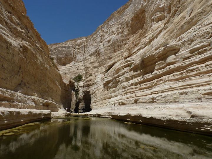 Laure B : Yalla, idéal pour dépasser ses préjugés et élargir sa vision d’Israël